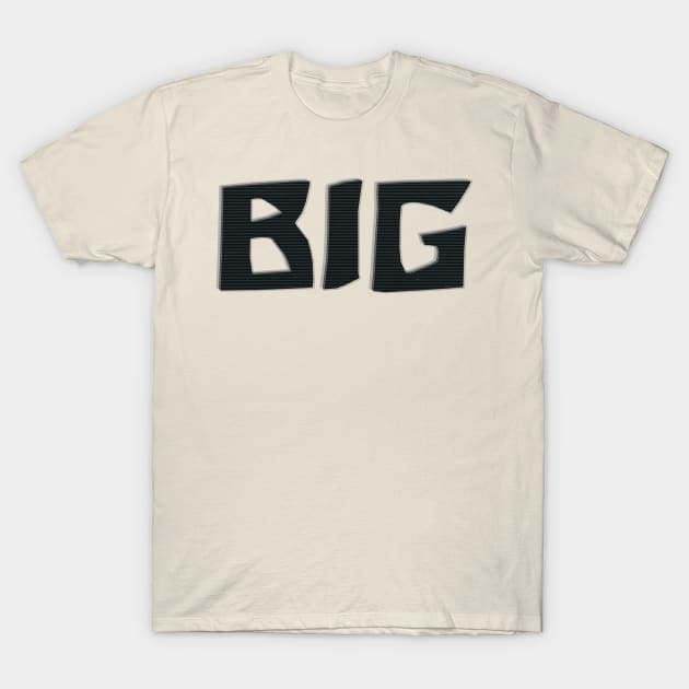 BIG T-Shirt by afternoontees